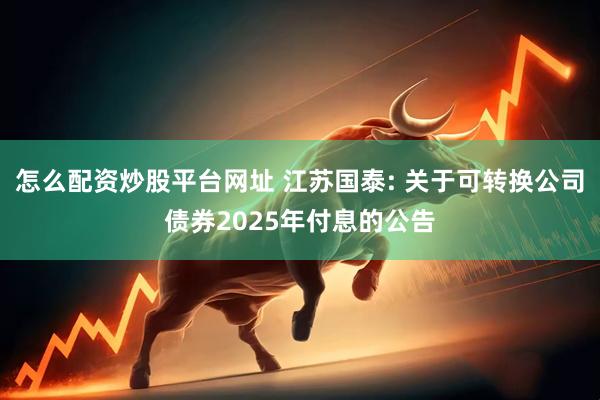 怎么配资炒股平台网址 江苏国泰: 关于可转换公司债券2025年付息的公告