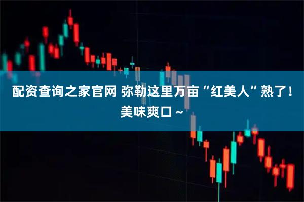 配资查询之家官网 弥勒这里万亩“红美人”熟了！美味爽口～